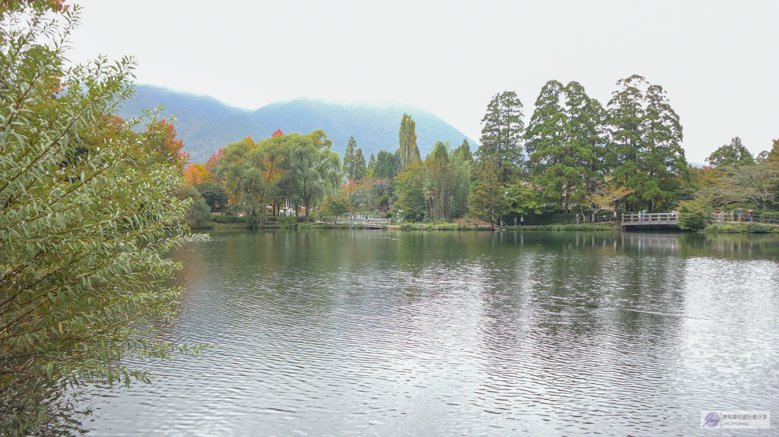 日本九州景點-金鱗湖-絕美夢幻的湖景！迷人美景、秋紅倒映、鳥居水上神社/由布院景點 @靜兒貪吃遊玩愛分享