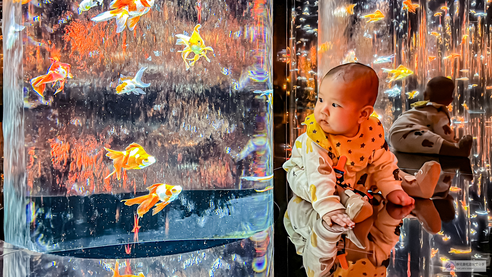 日本東京旅遊-銀座藝術水族館-活藝術品！多達70種水中舞者金魚，結合高科技聲光效果與裝置藝術設計，療癒又夢幻/銀座三越百貨內 @靜兒貪吃遊玩愛分享